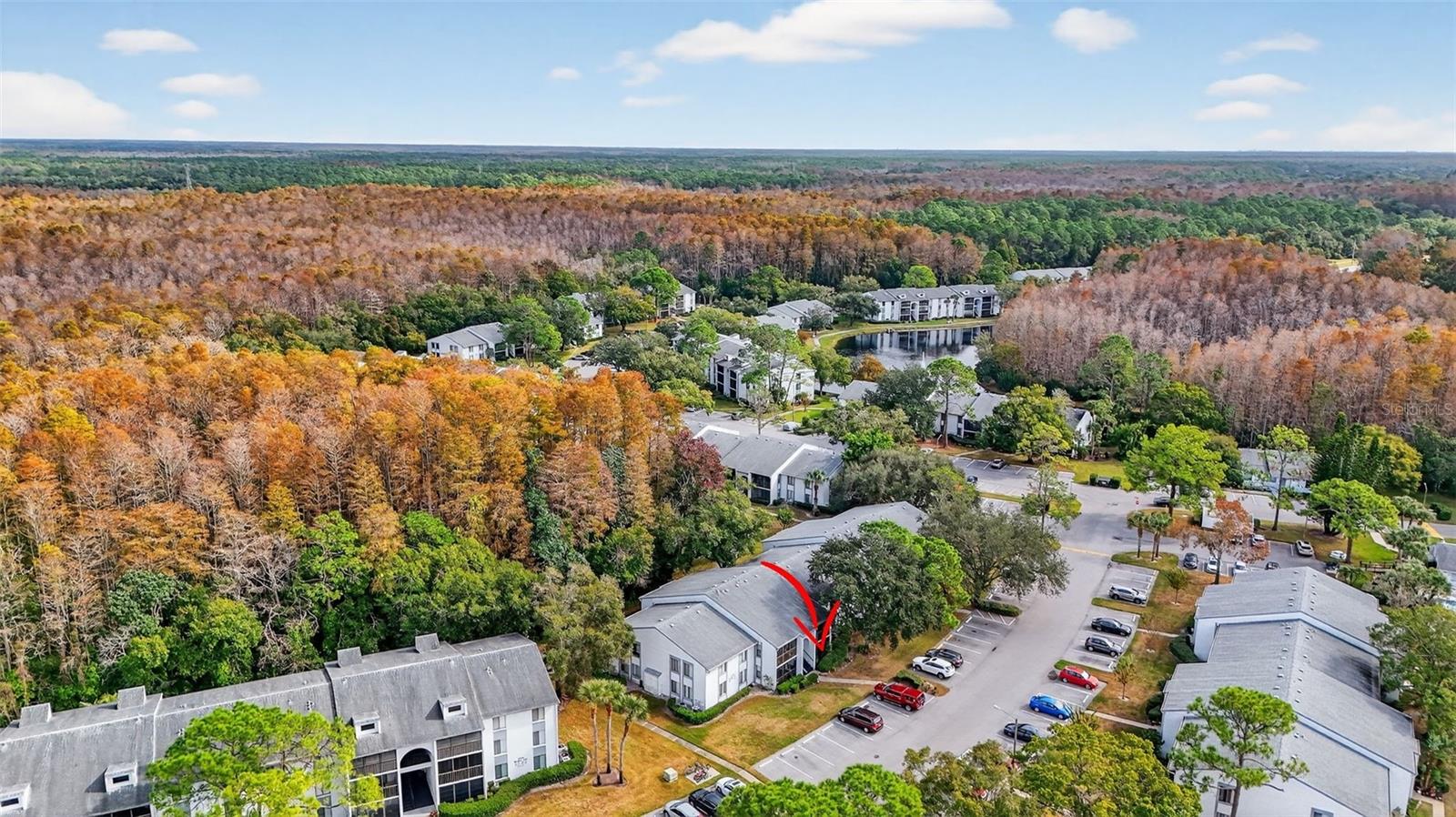 Image 36 of 42 For 1258 Pine Ridge Circle W D1