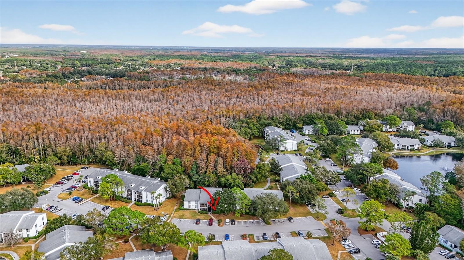 Image 39 of 42 For 1258 Pine Ridge Circle W D1