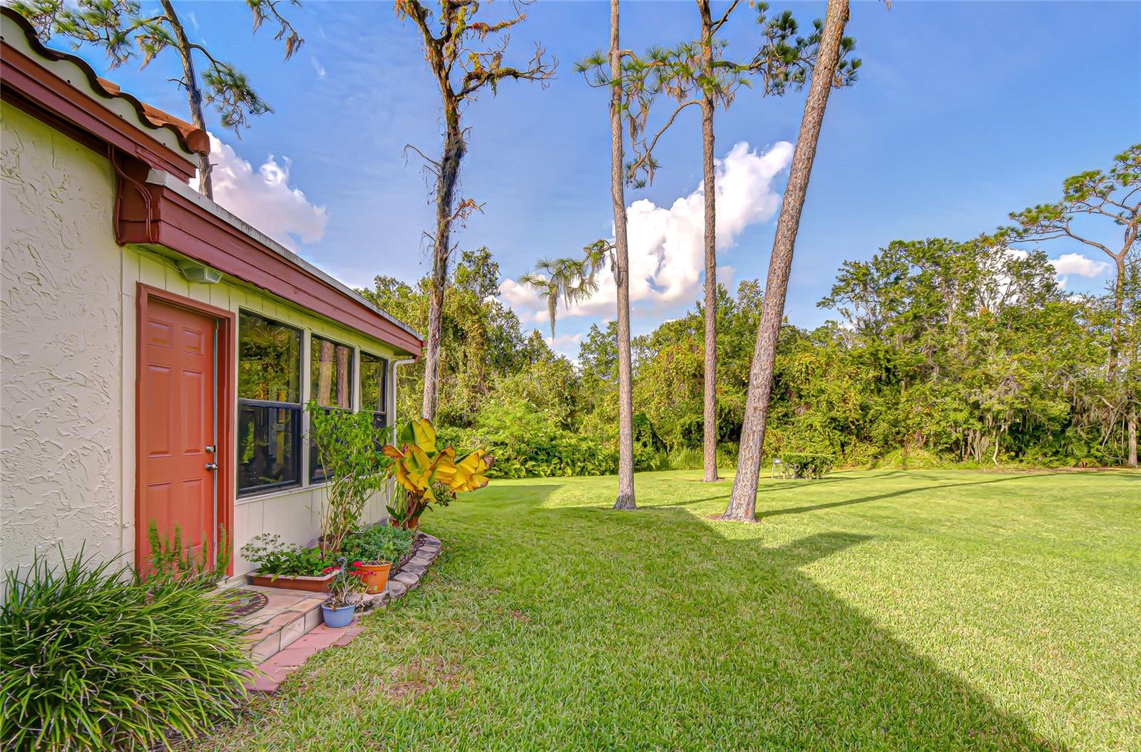 Image 41 of 50 For 5444 Saddlebrook Way 4