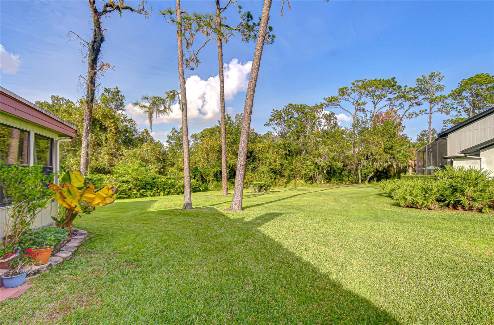 Image 45 of 50 For 5444 Saddlebrook Way 4