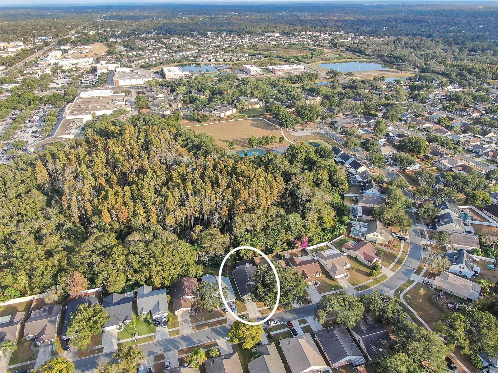 Image 25 of 27 For 10838 Peppersong Drive