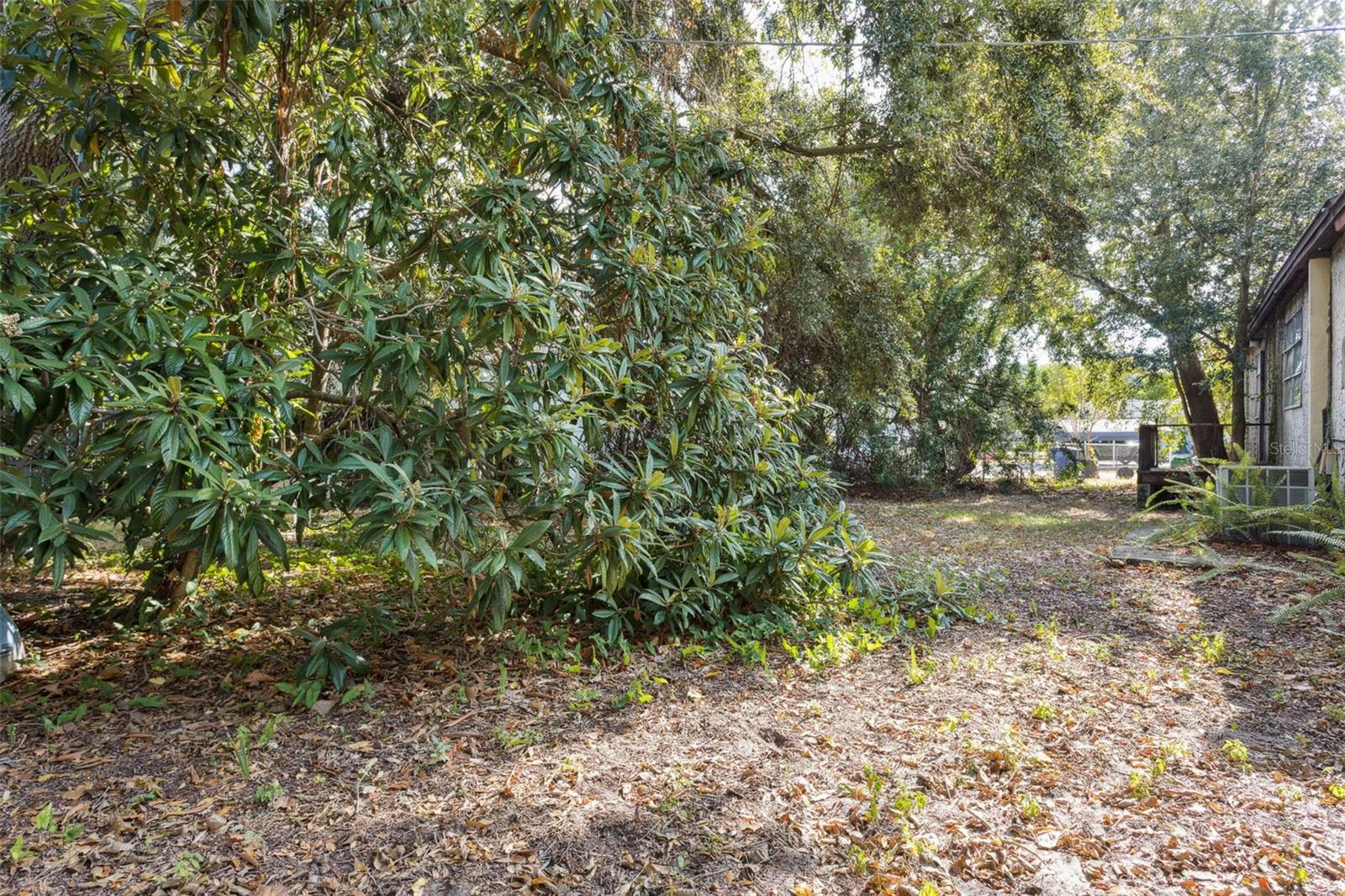 Image 5 of 13 For 2509 Emma Circle