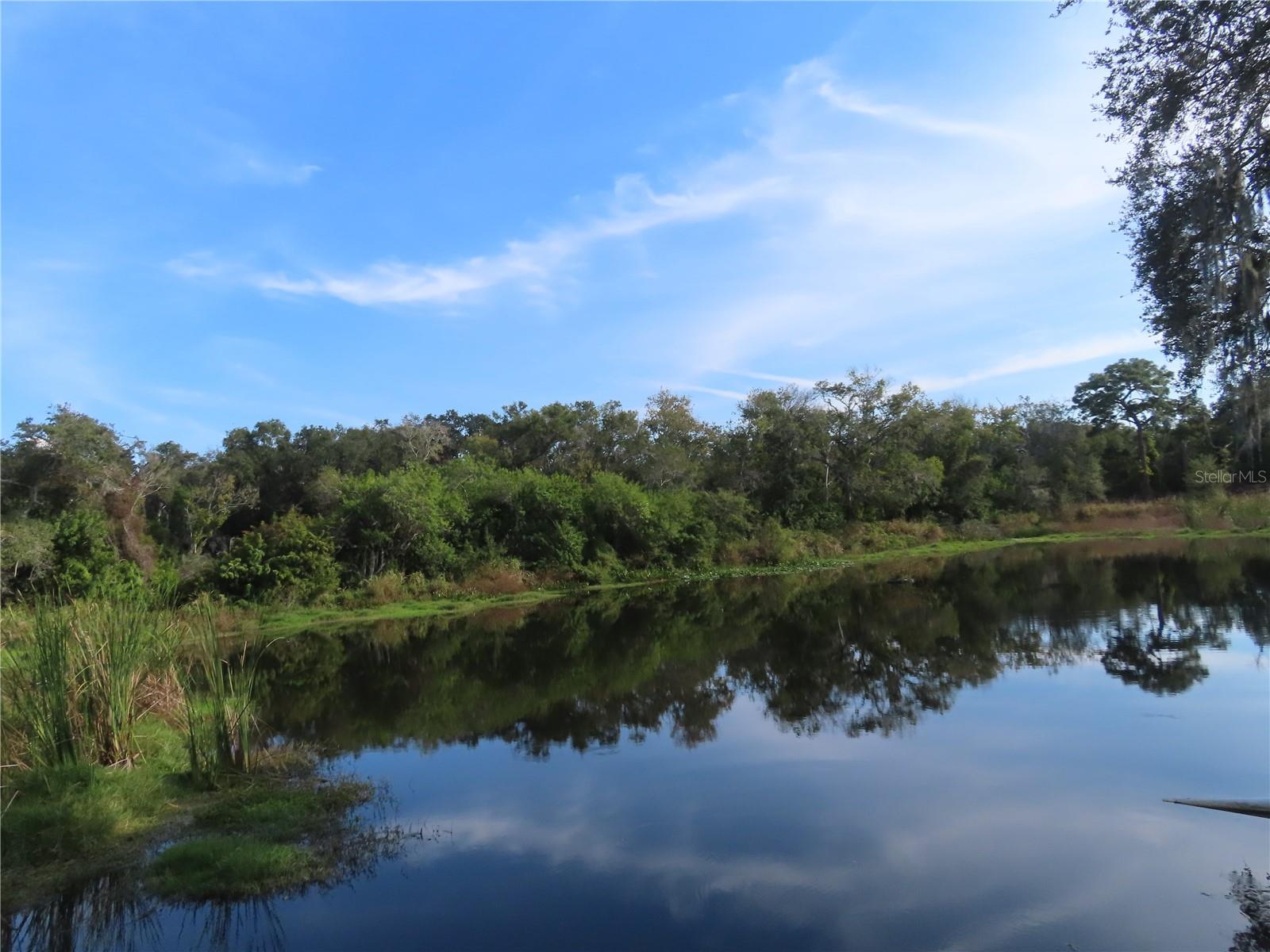 Details for 2625 State Road 590  1212, CLEARWATER, FL 33759