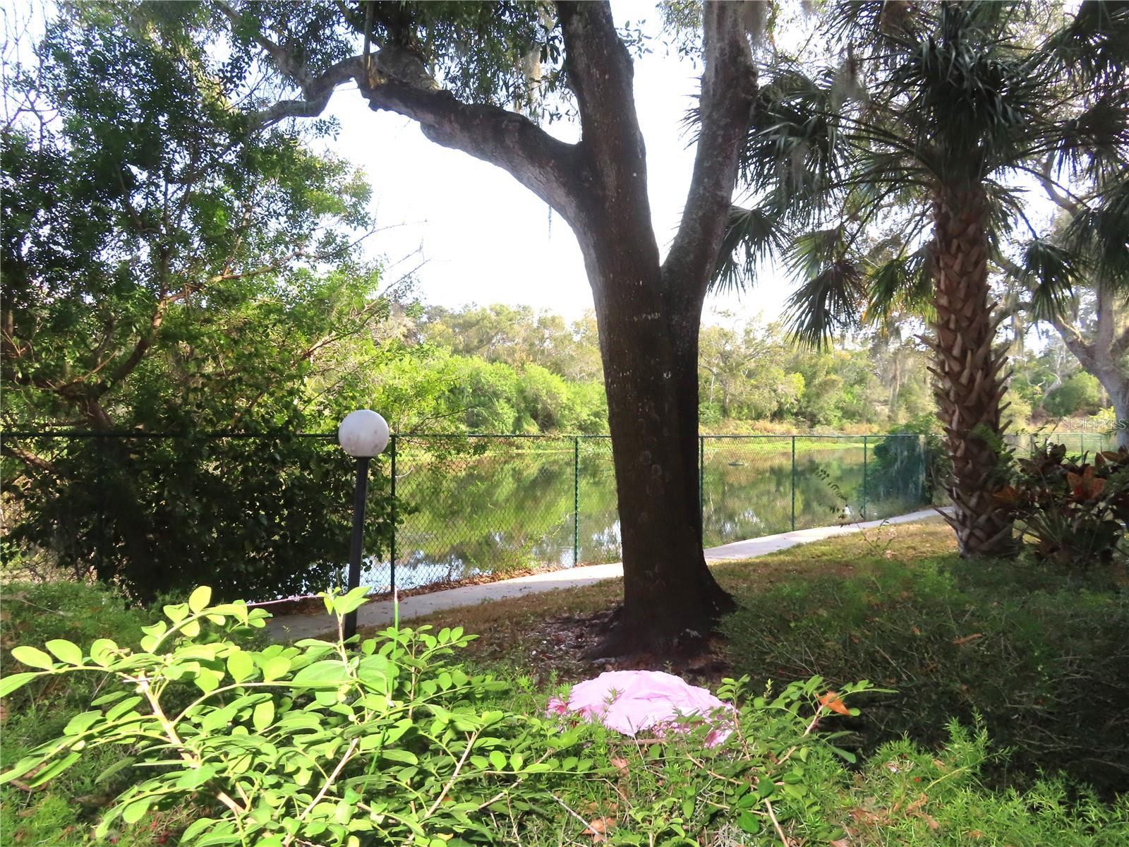 Image 11 of 15 For 2625 State Road 590  1212