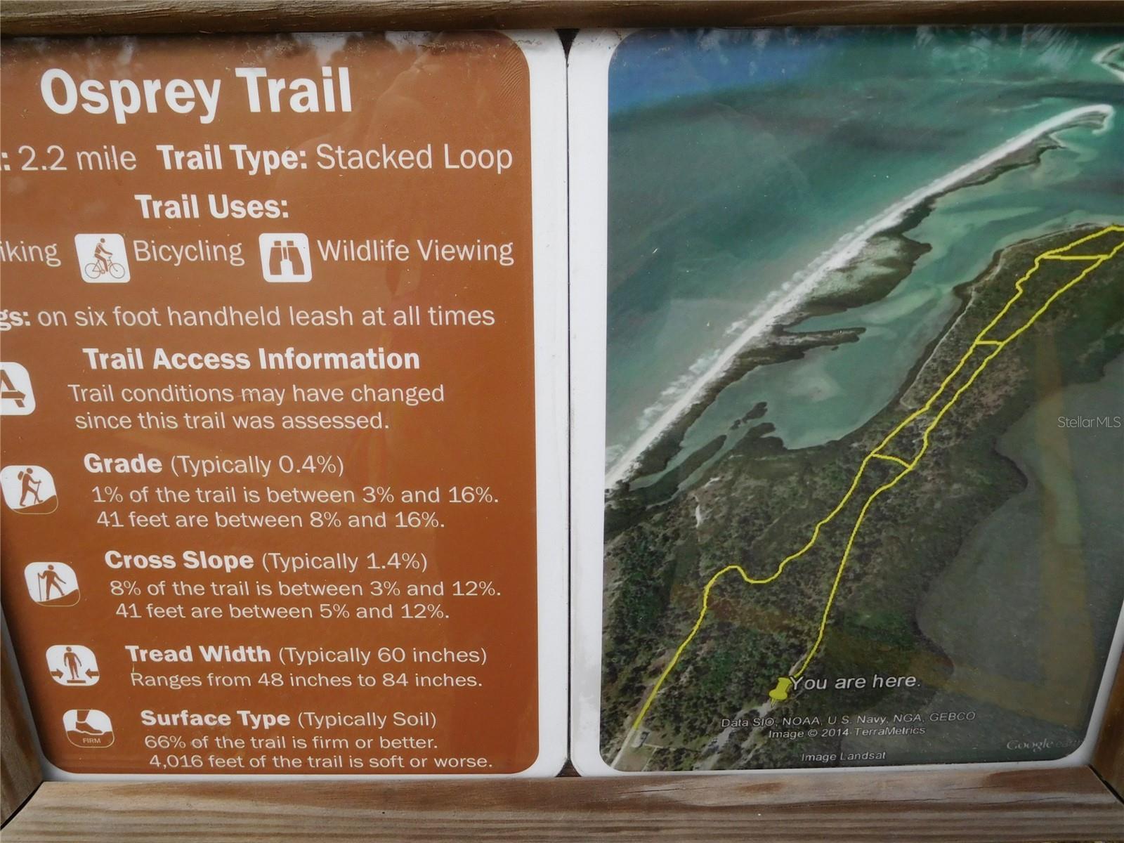 Image 56 of 64 For 7 Elgin Place 202