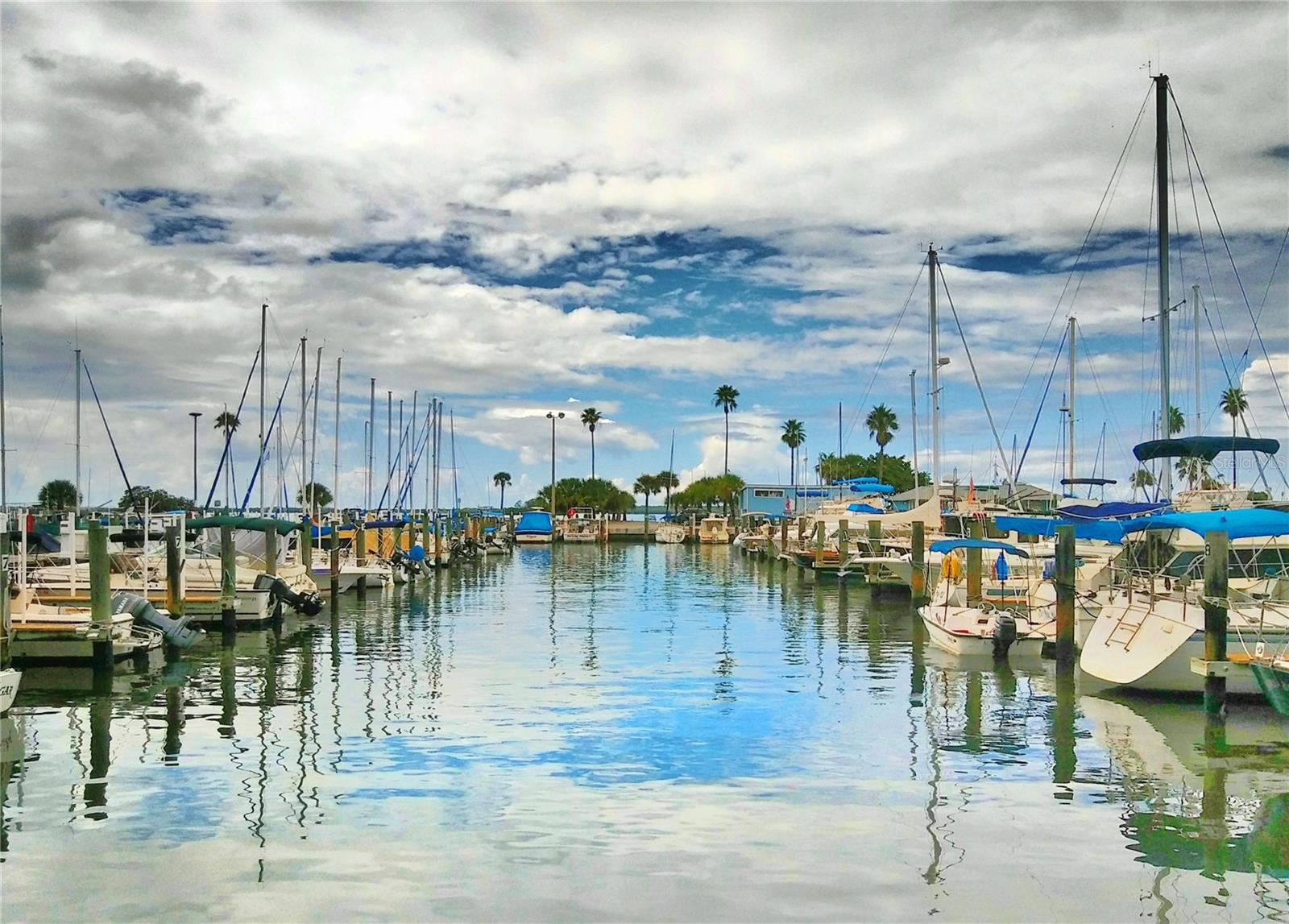 Image 60 of 64 For 7 Elgin Place 202