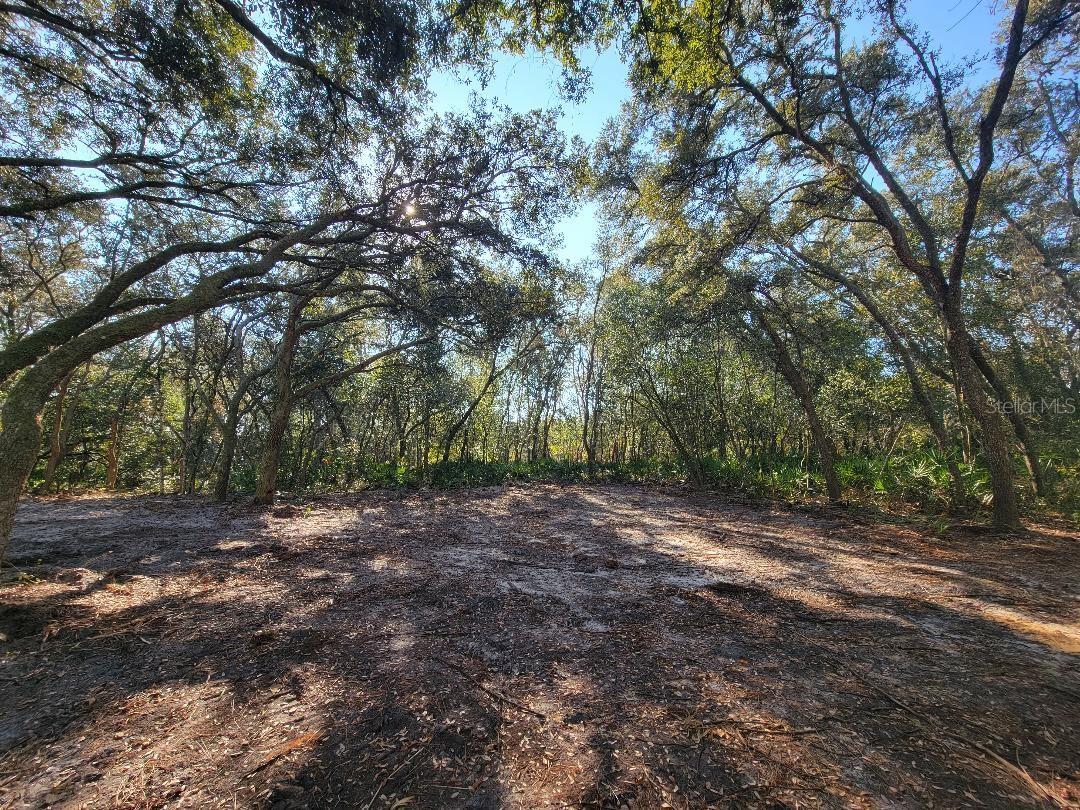 Image 10 of 15 For 34389 Creekstone Street