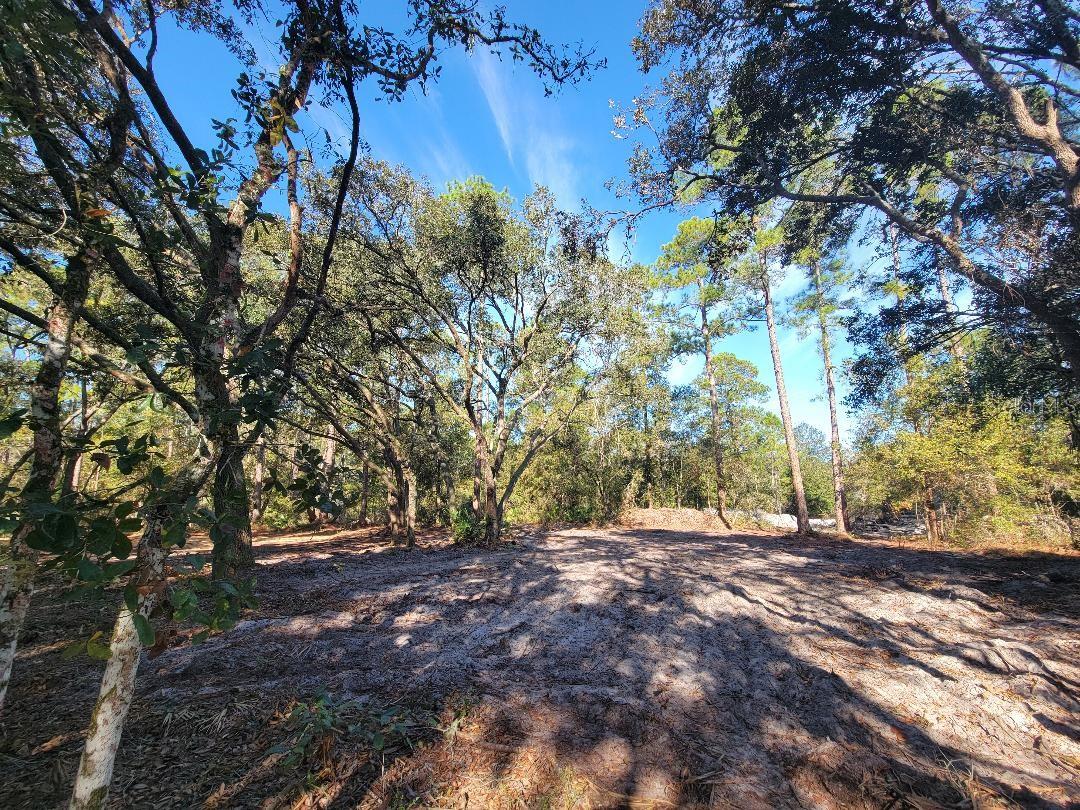 Image 12 of 15 For 34389 Creekstone Street