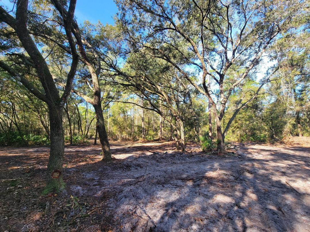 Image 13 of 15 For 34389 Creekstone Street