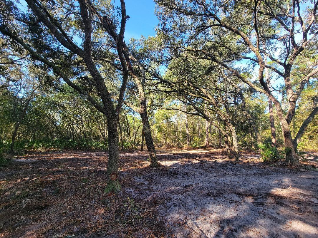 Image 14 of 15 For 34389 Creekstone Street