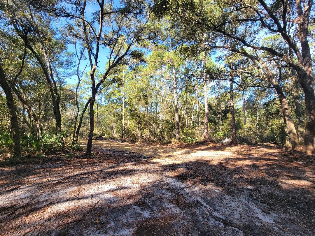 Image 15 of 15 For 34389 Creekstone Street