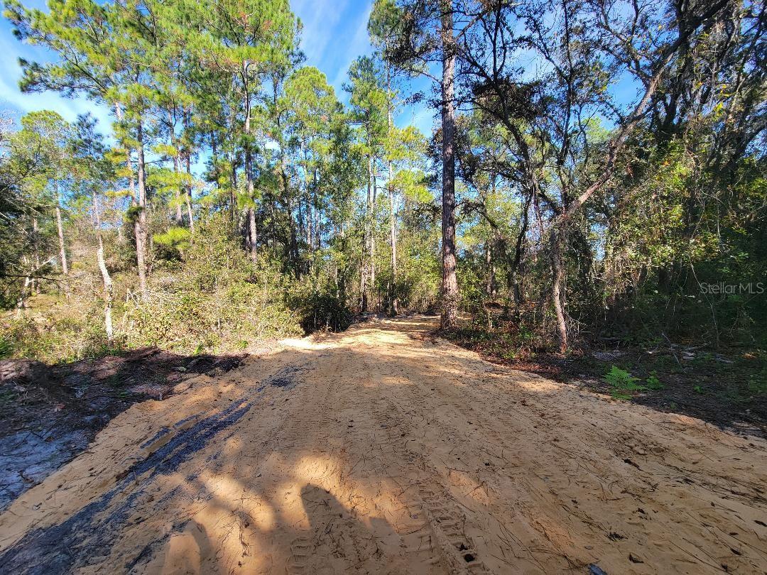 Image 5 of 15 For 34389 Creekstone Street