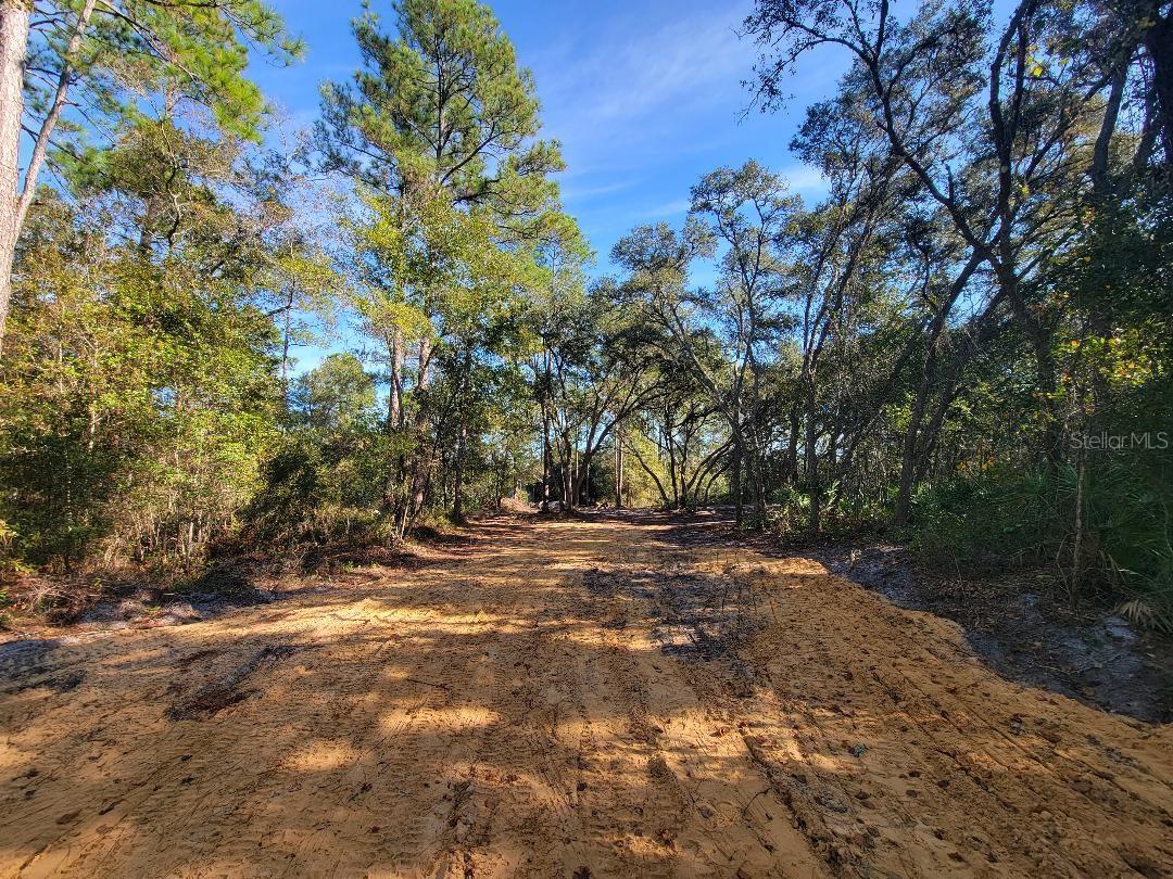 Image 6 of 15 For 34389 Creekstone Street