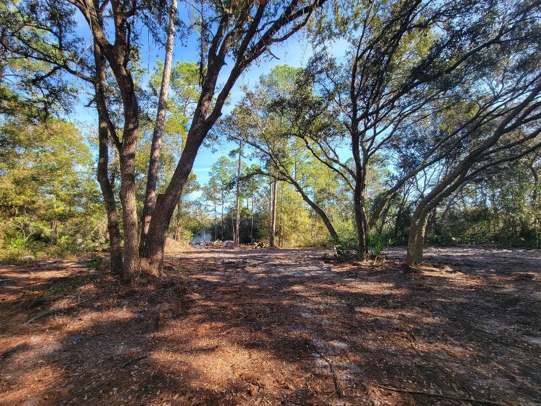 Image 7 of 15 For 34389 Creekstone Street