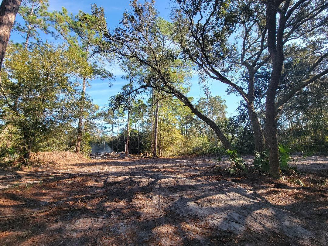 Image 8 of 15 For 34389 Creekstone Street