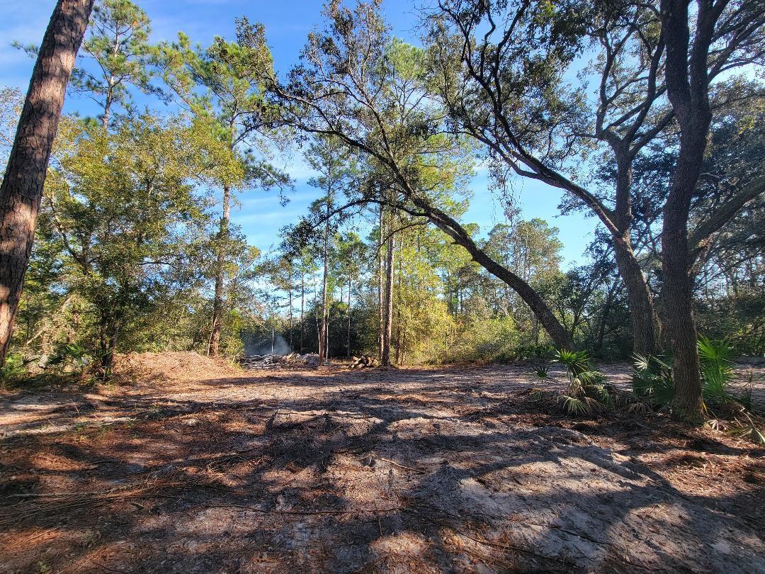 Image 9 of 15 For 34389 Creekstone Street