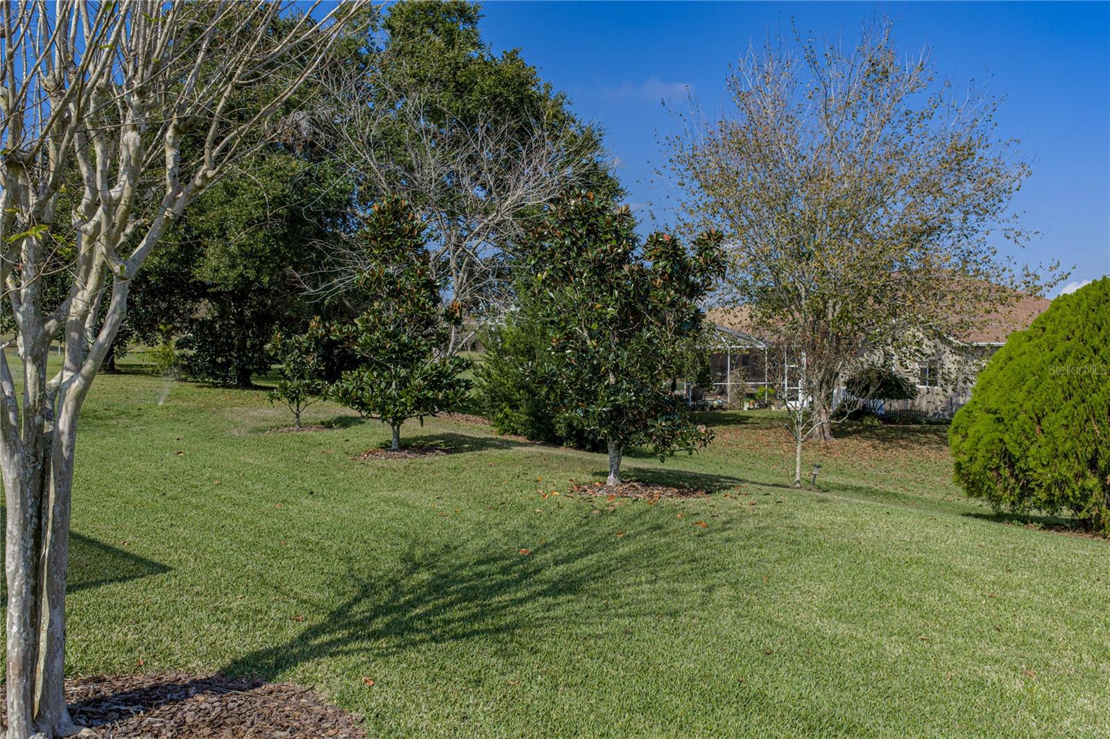 Image 56 of 71 For 13247 Palmilla Circle