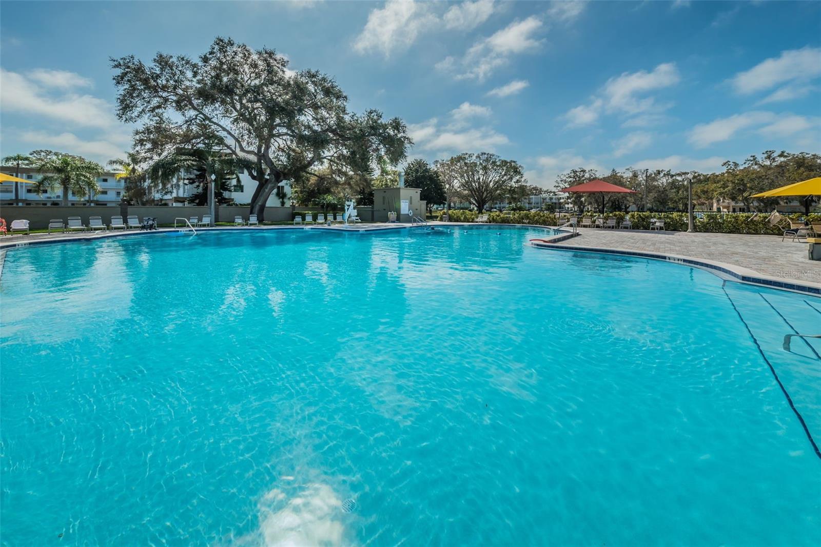 Image 59 of 97 For 2019 Utopian Drive W 310