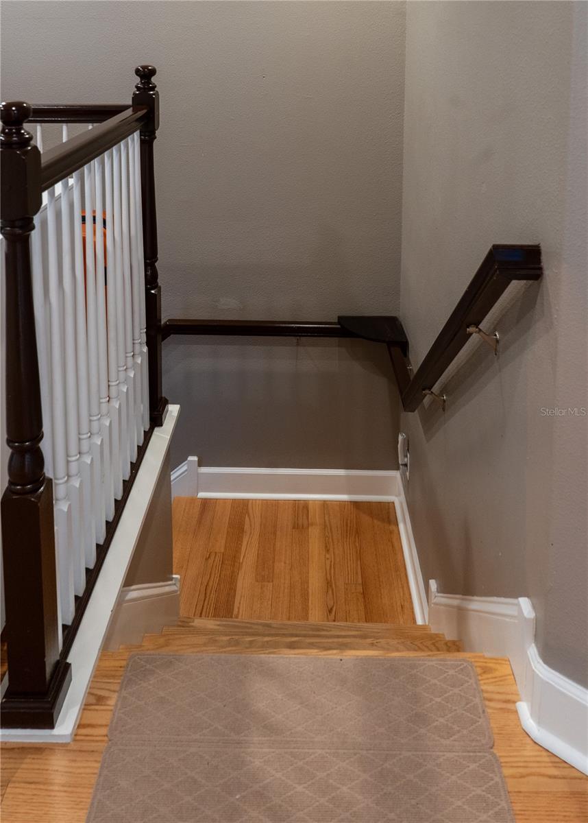 Listing photo id 49 for 7343 Conch Boulevard