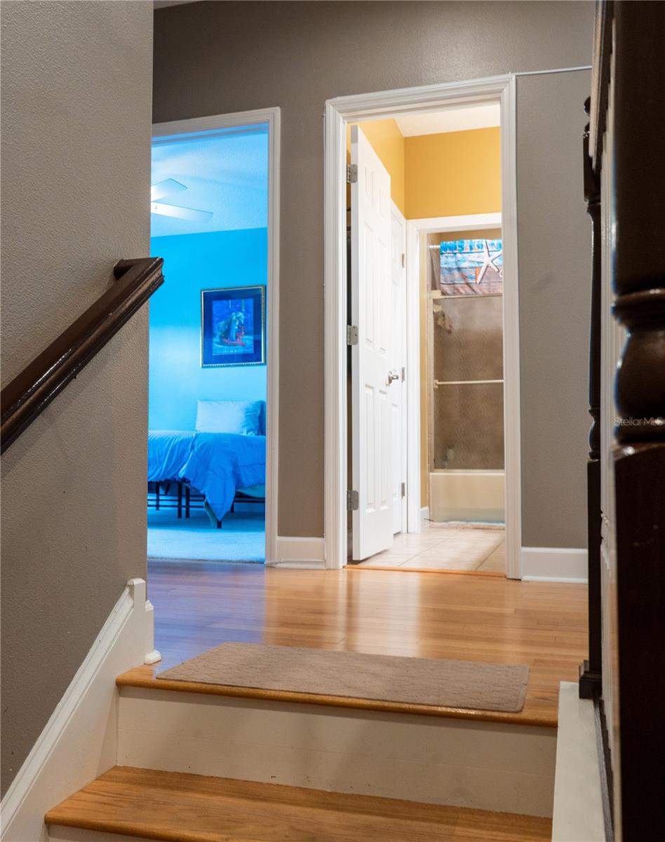 Listing photo id 51 for 7343 Conch Boulevard