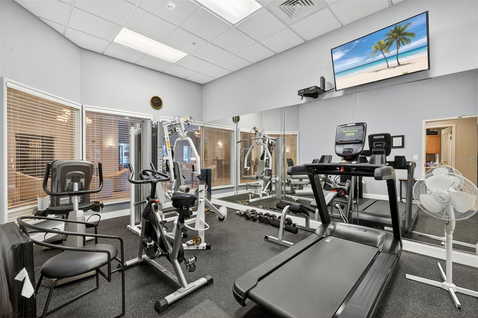 Image 55 of 66 For 288 Beach Drive Ne 4b