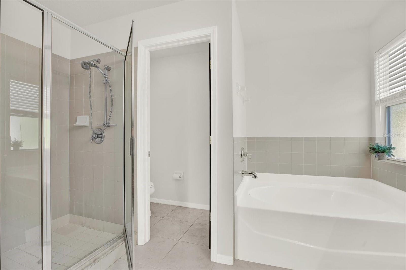 Image 14 of 31 For 4732 Brachetta Drive