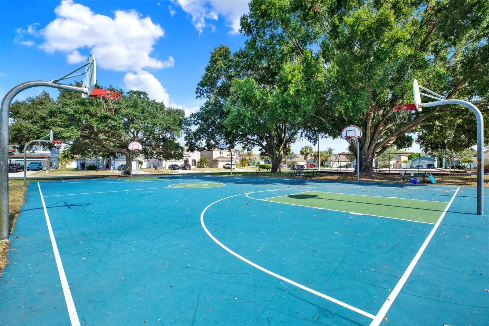 Image 25 of 31 For 4732 Brachetta Drive