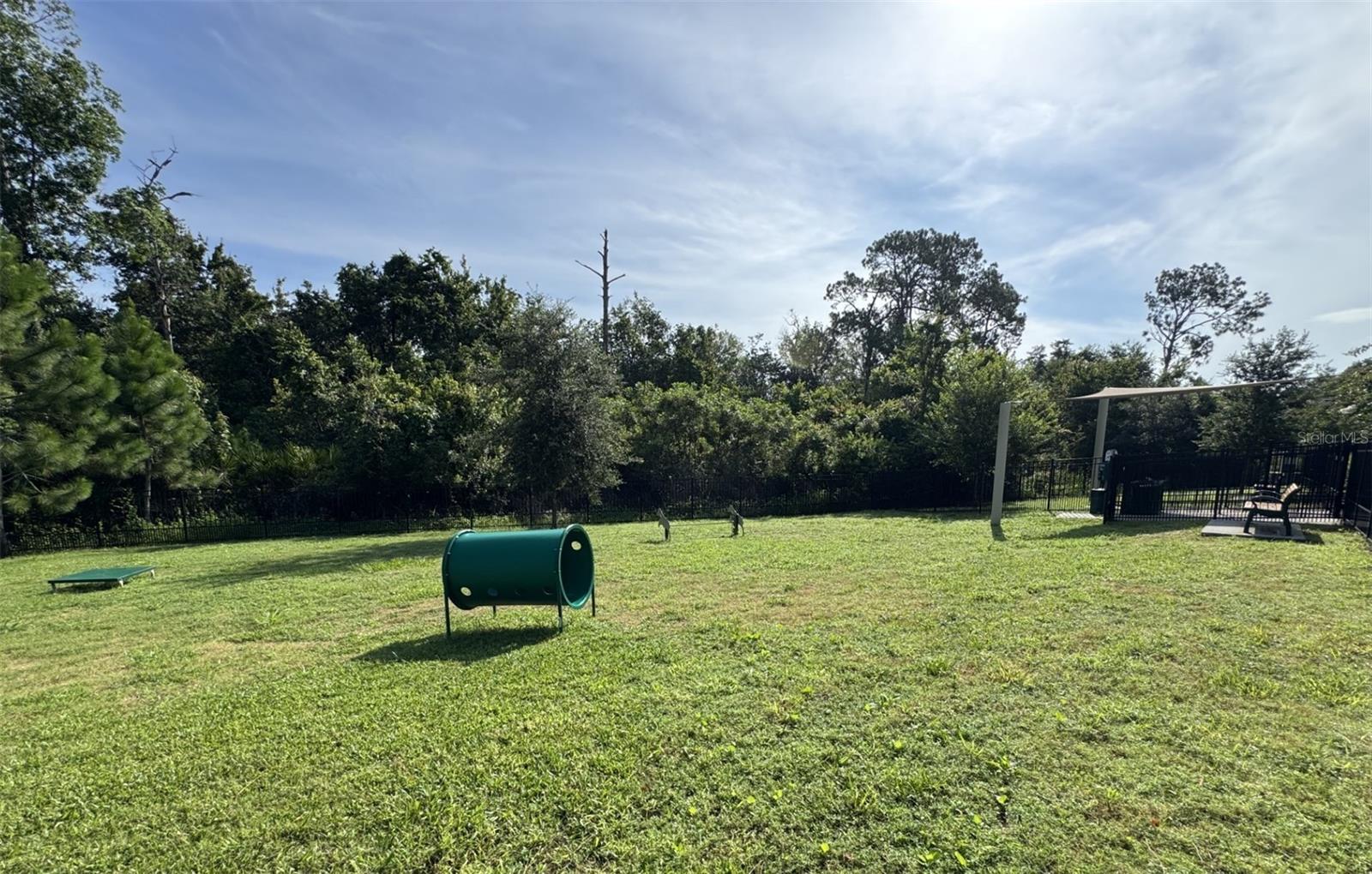 Image 53 of 57 For 17401 Honeybell Tangelo Court