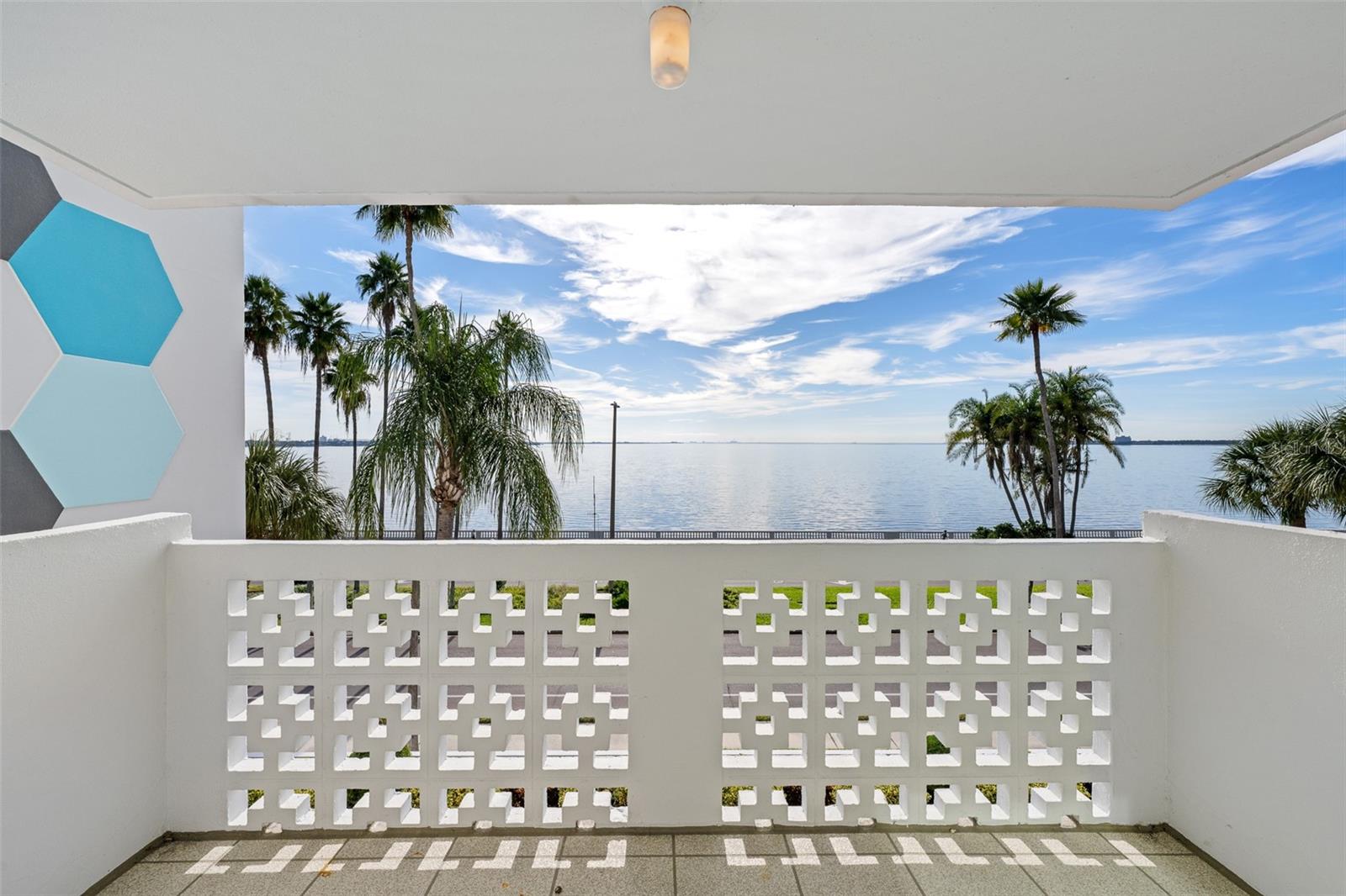 Image 25 of 88 For 2401 Bayshore Boulevard 310