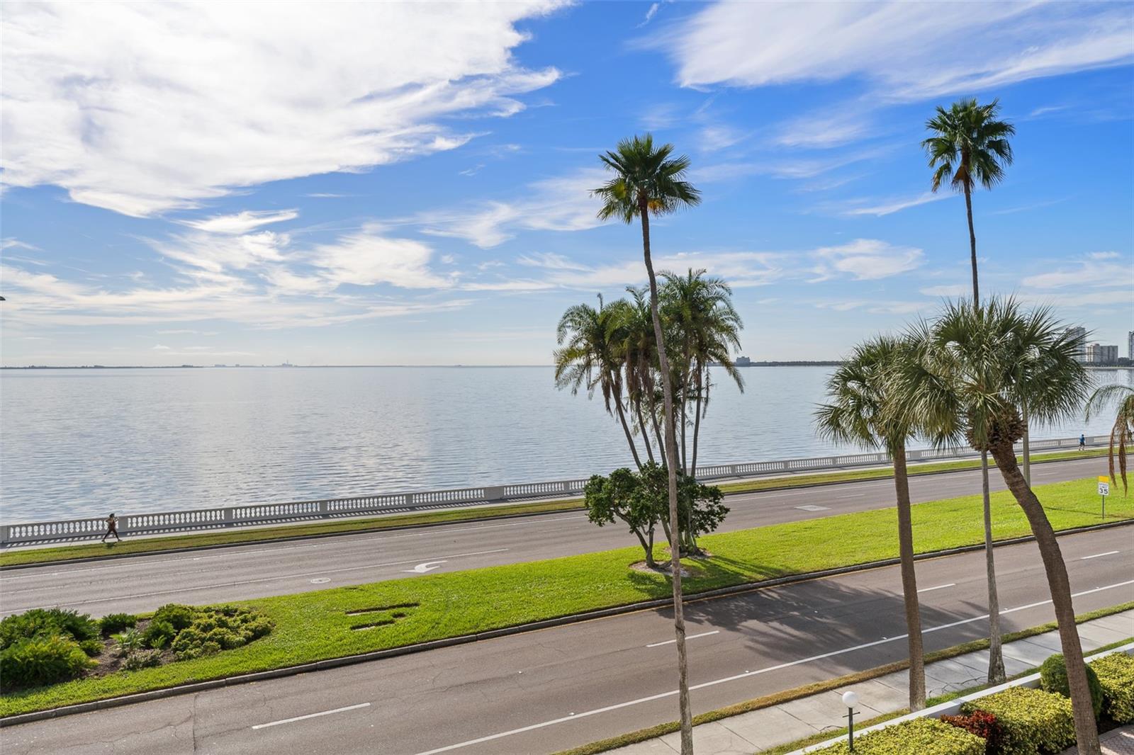 Image 28 of 88 For 2401 Bayshore Boulevard 310