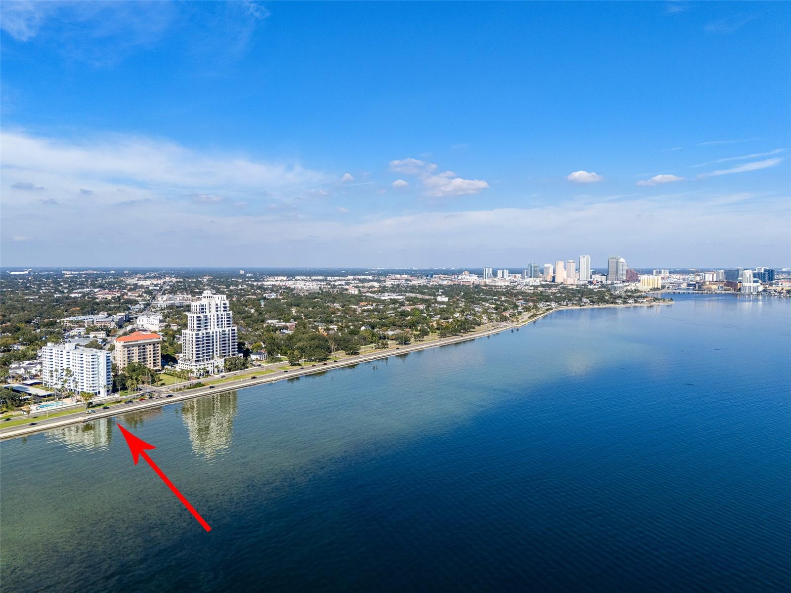 Image 79 of 88 For 2401 Bayshore Boulevard 310