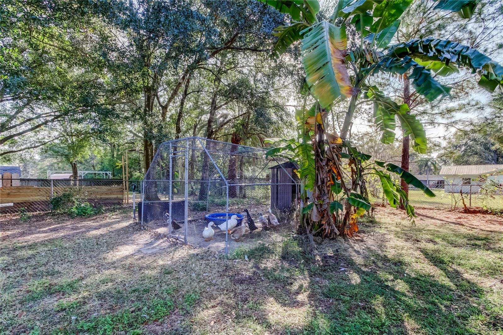 Image 24 of 28 For 37300 Temple Avenue