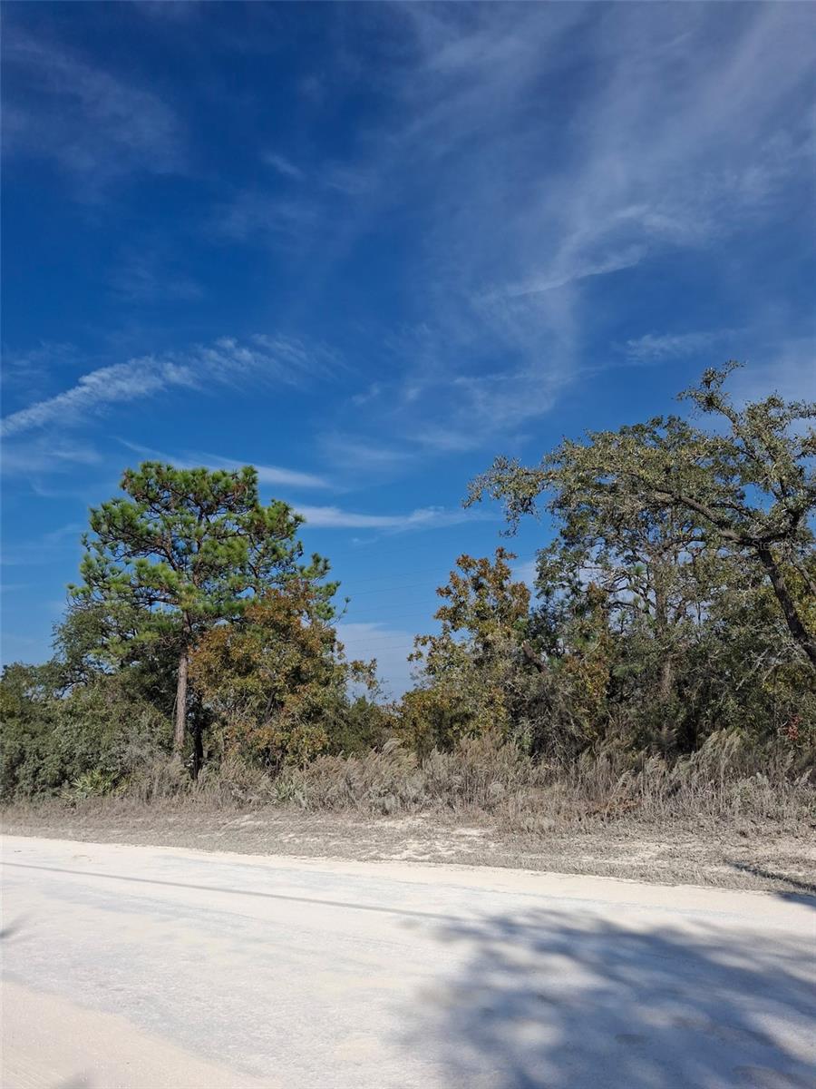 Listing photo id 0 for 15176 Gonzo Road