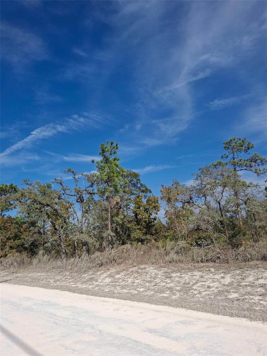 Listing photo id 2 for 15176 Gonzo Road