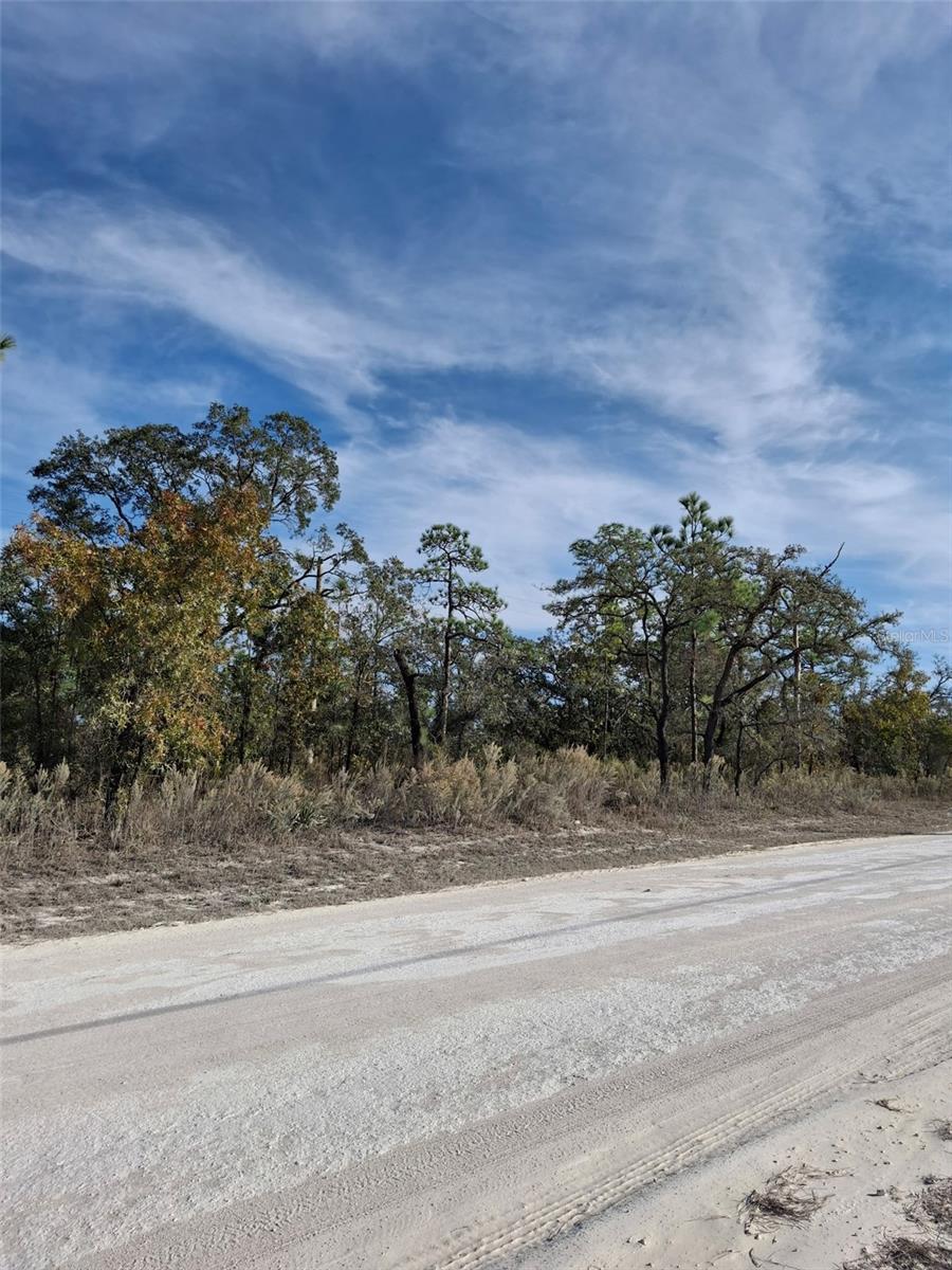 Listing photo id 4 for 15176 Gonzo Road