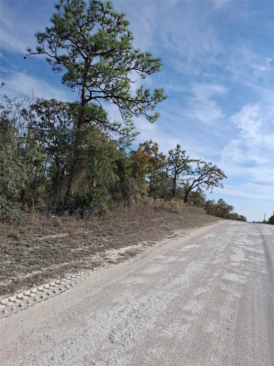 Listing photo id 5 for 15176 Gonzo Road