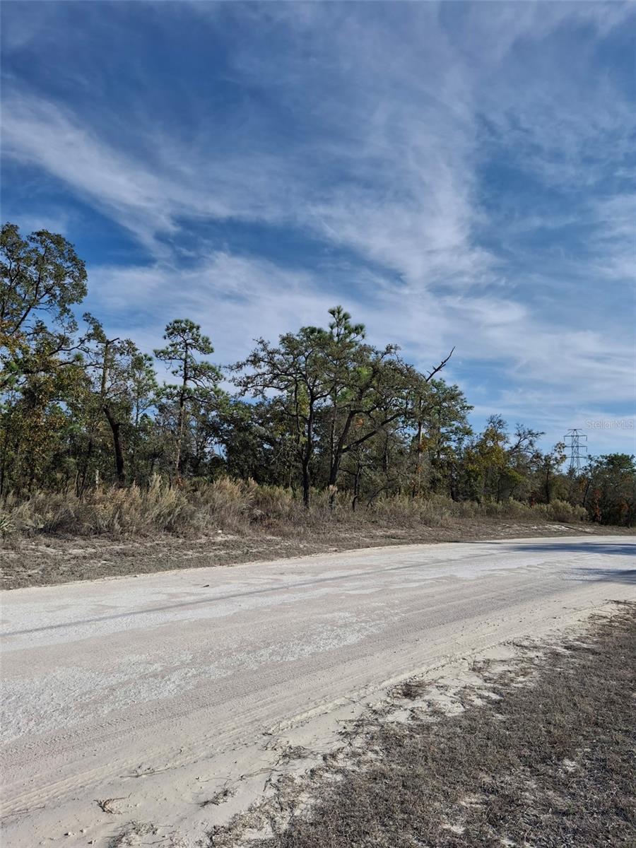 Listing photo id 6 for 15176 Gonzo Road