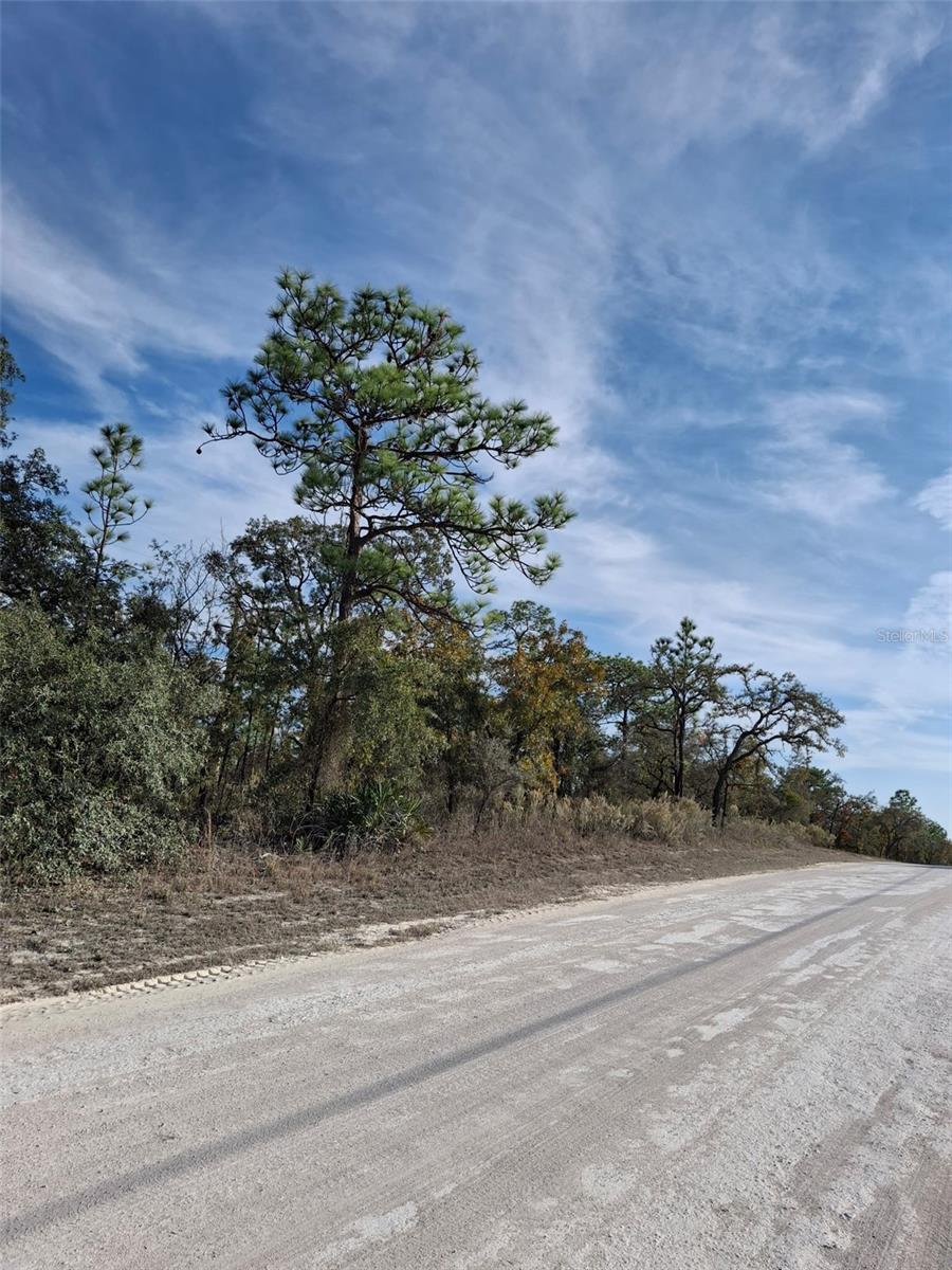 Listing photo id 7 for 15176 Gonzo Road