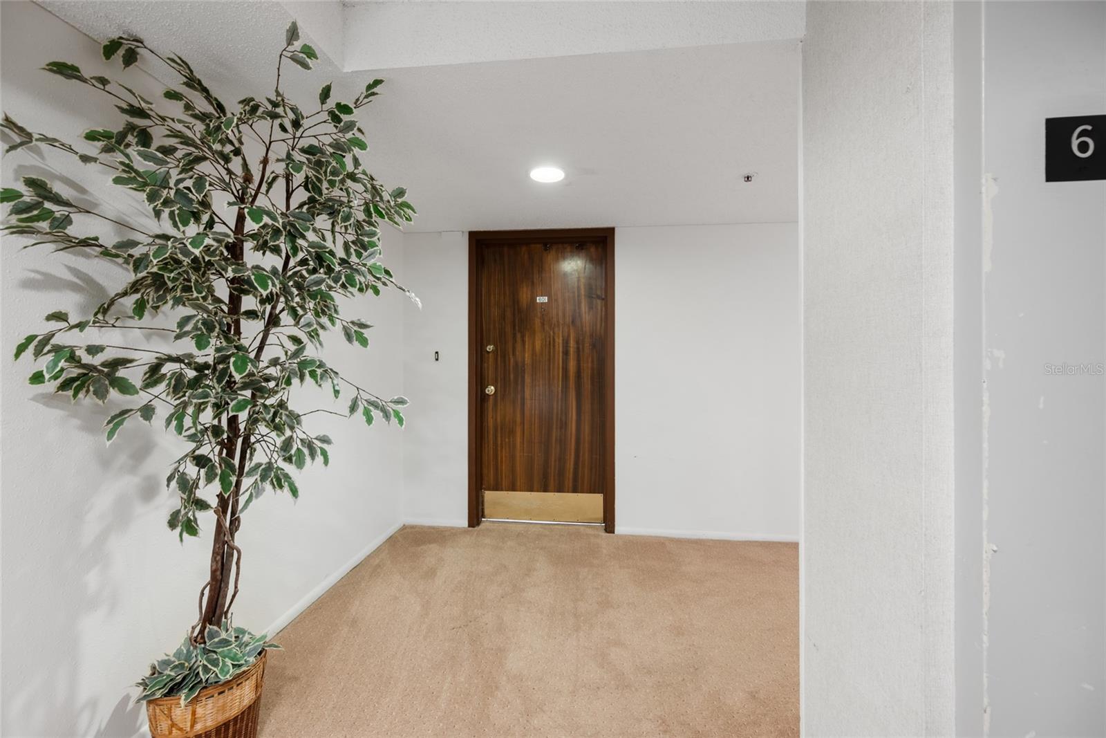 Image 8 of 37 For 7430 Sunshine Skyway Lane S 601