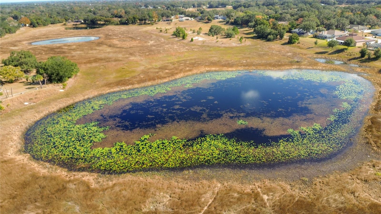 Image 44 of 61 For 488 Fieldstone Lane