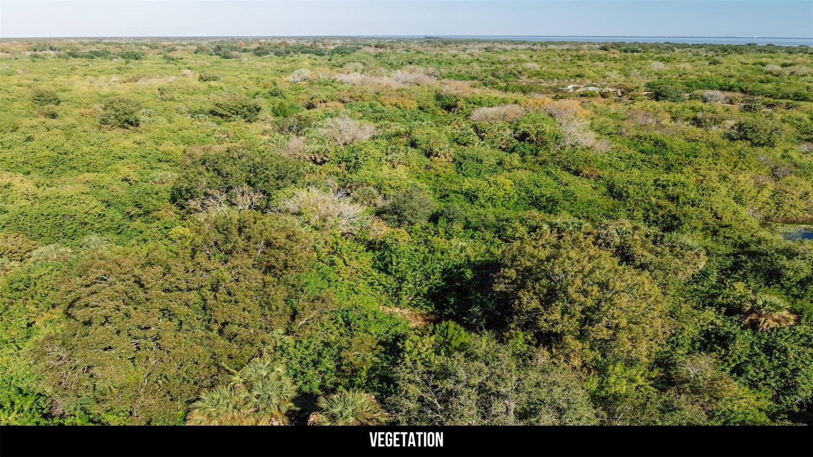 Image 27 of 50 For 2600 Wiley Avenue