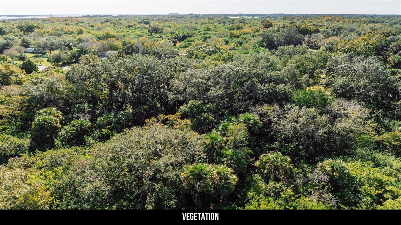 Image 31 of 50 For 2600 Wiley Avenue