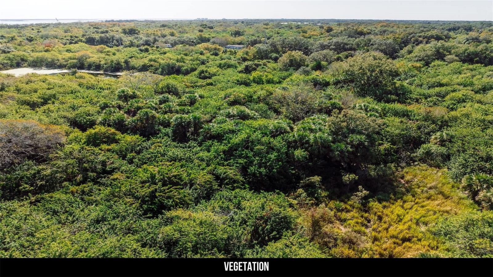 Image 33 of 50 For 2600 Wiley Avenue