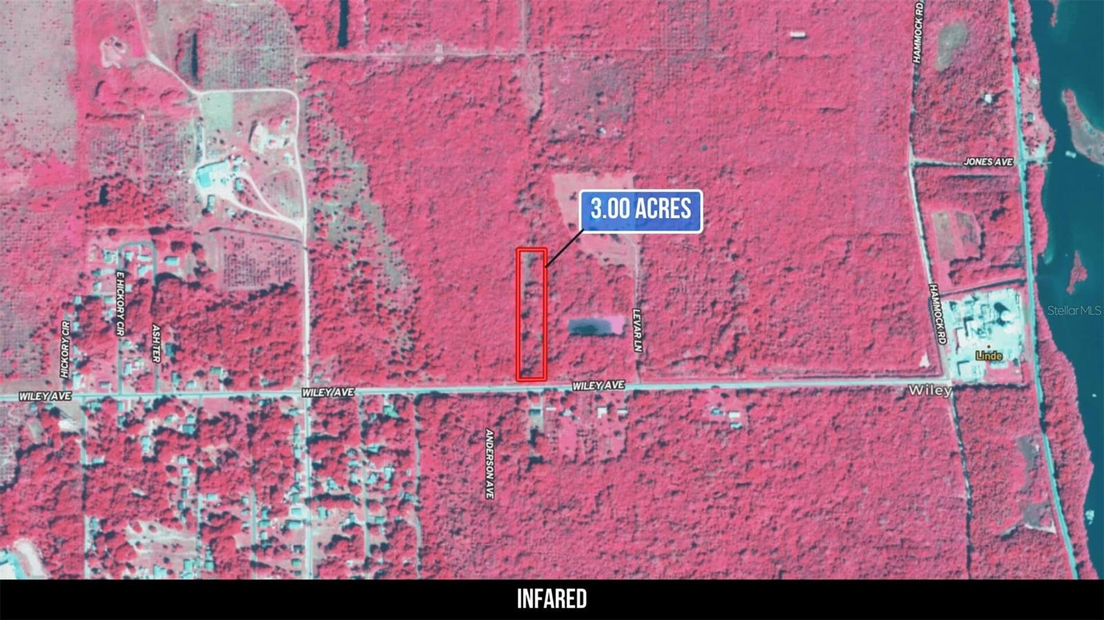 Image 43 of 50 For 2600 Wiley Avenue