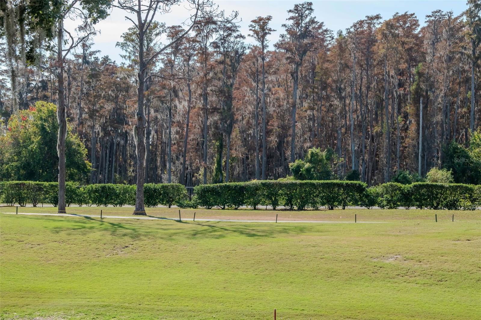 Image 19 of 28 For 9500 Green Needle Drive