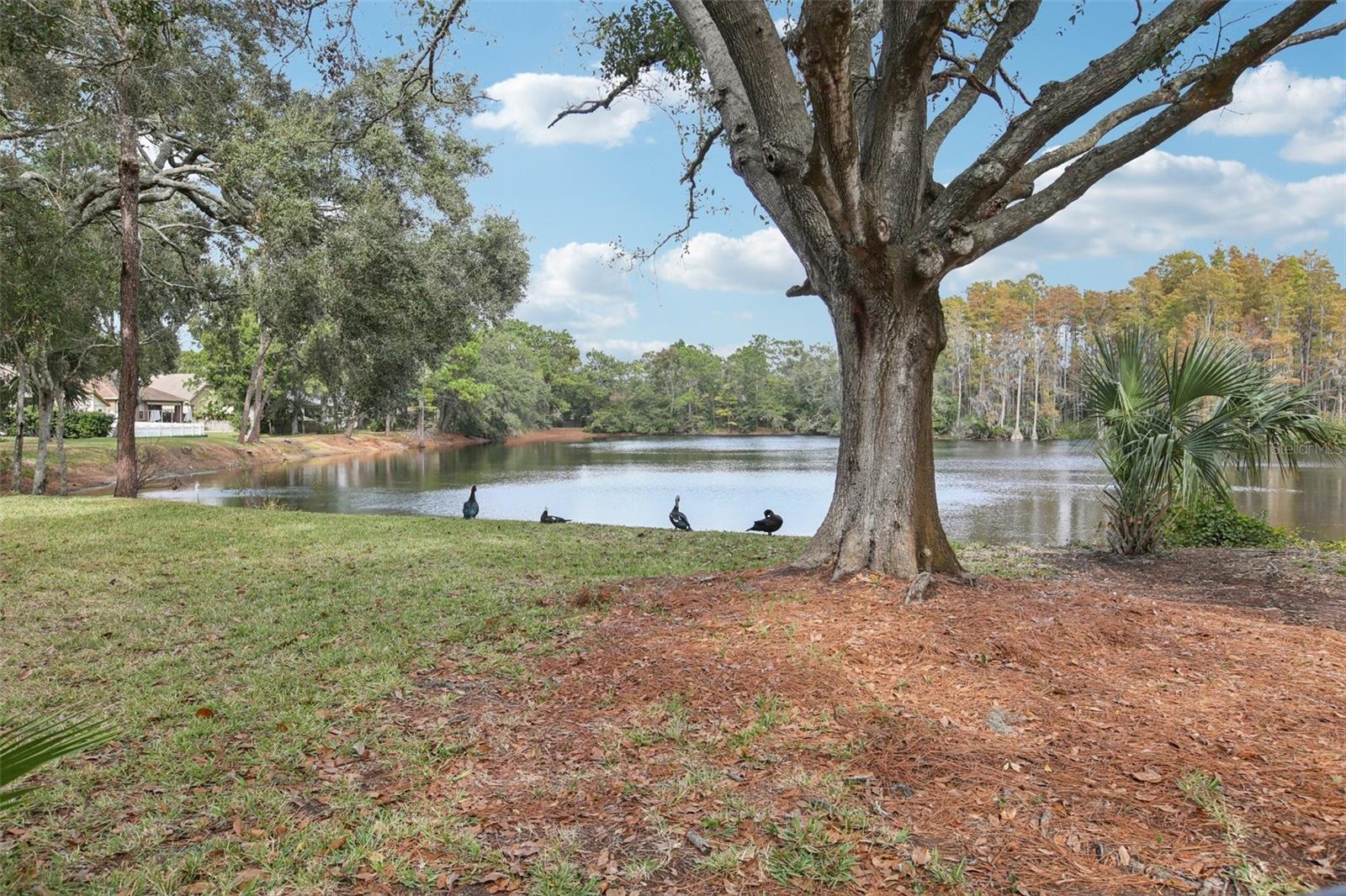 Image 35 of 36 For 4632 Whispering Park Lane