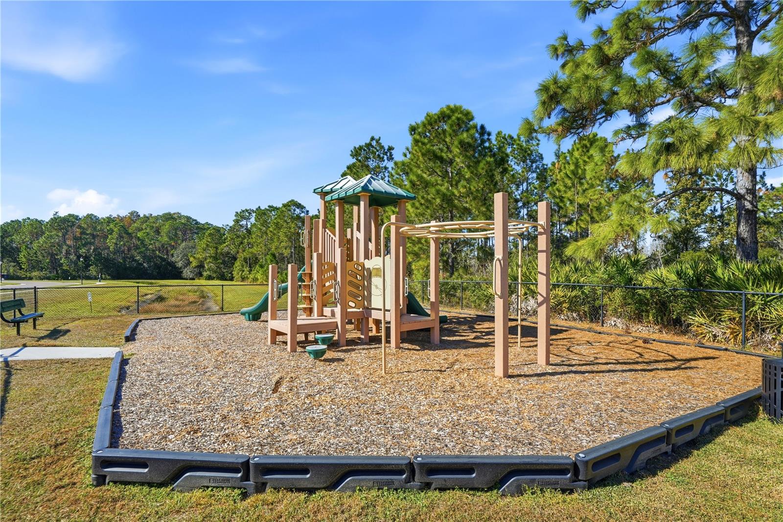 Listing photo id 65 for 20112 Sorano Hill Place