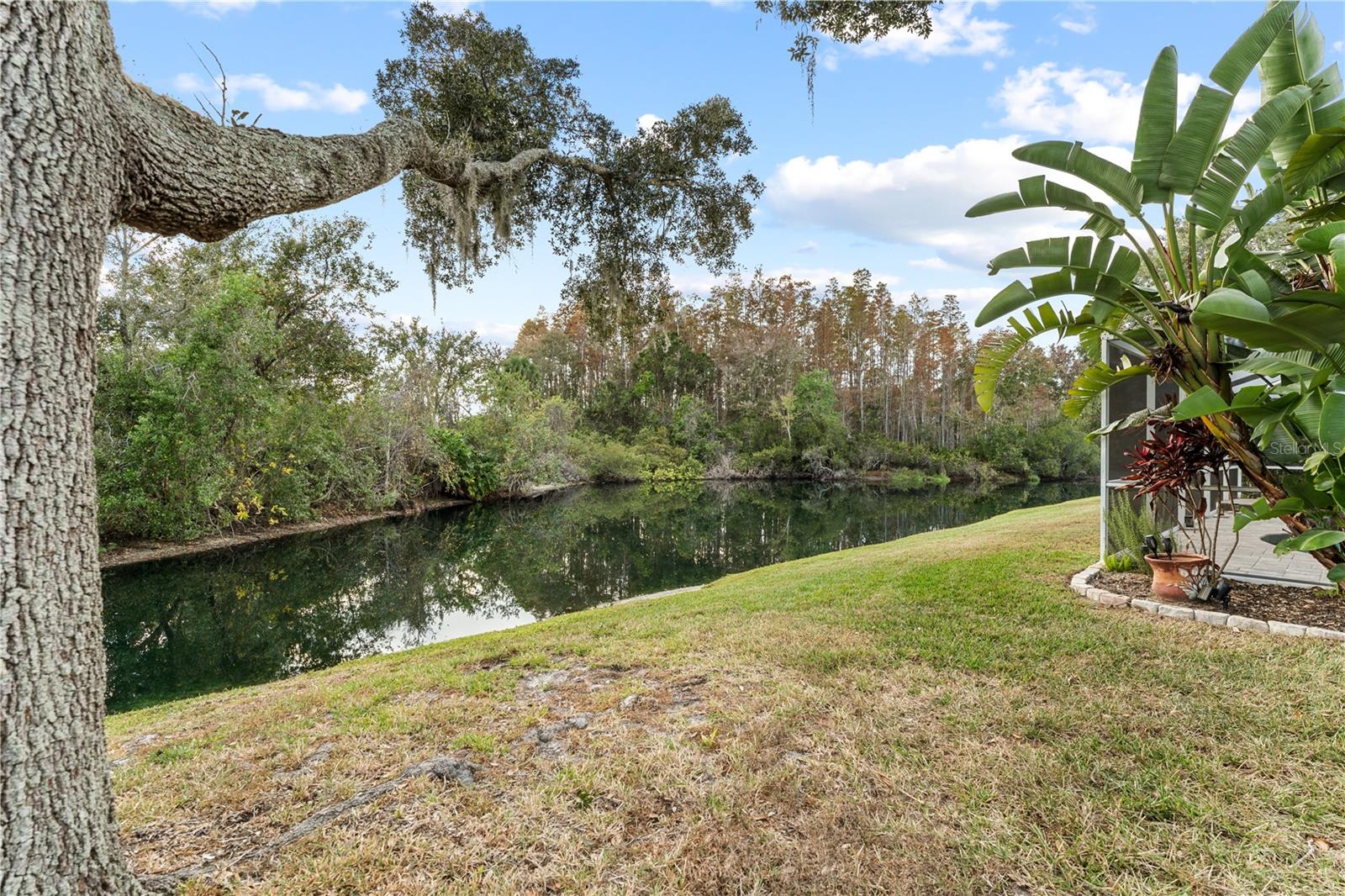 Image 57 of 81 For 9909 Kingshyre Way