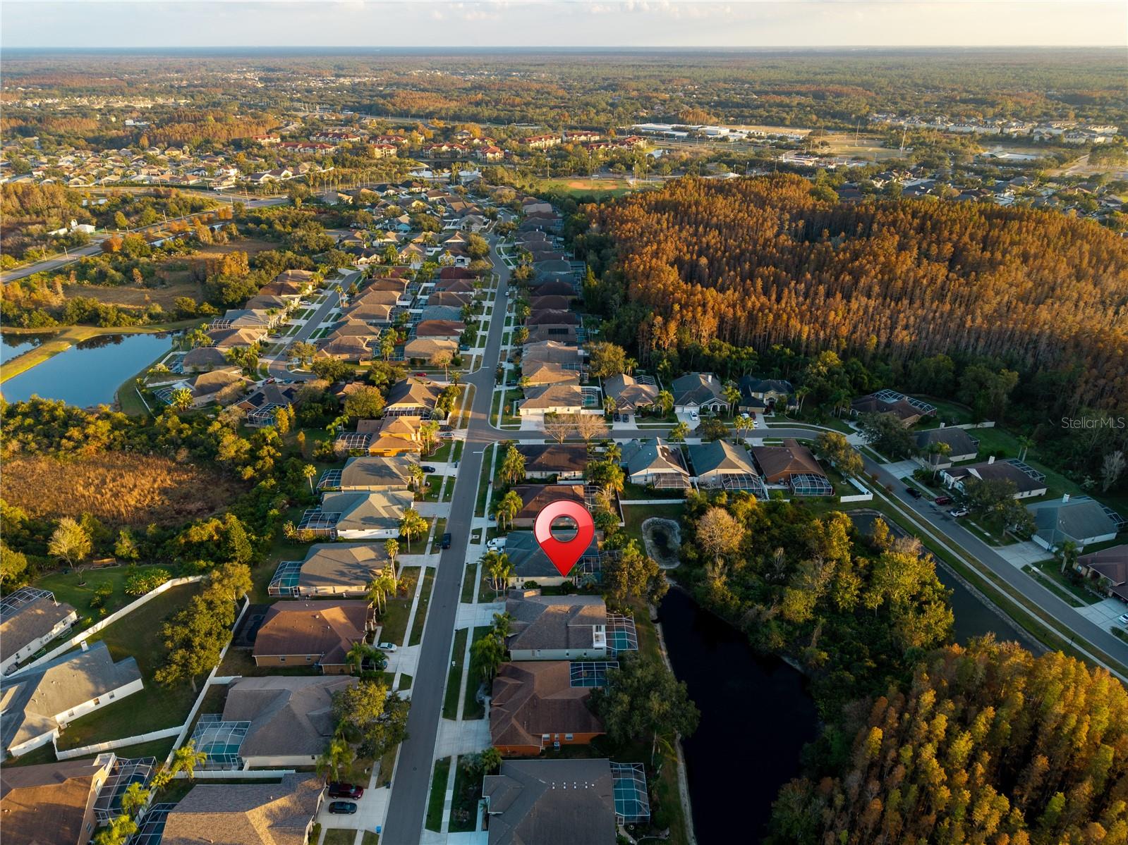 Image 77 of 81 For 9909 Kingshyre Way