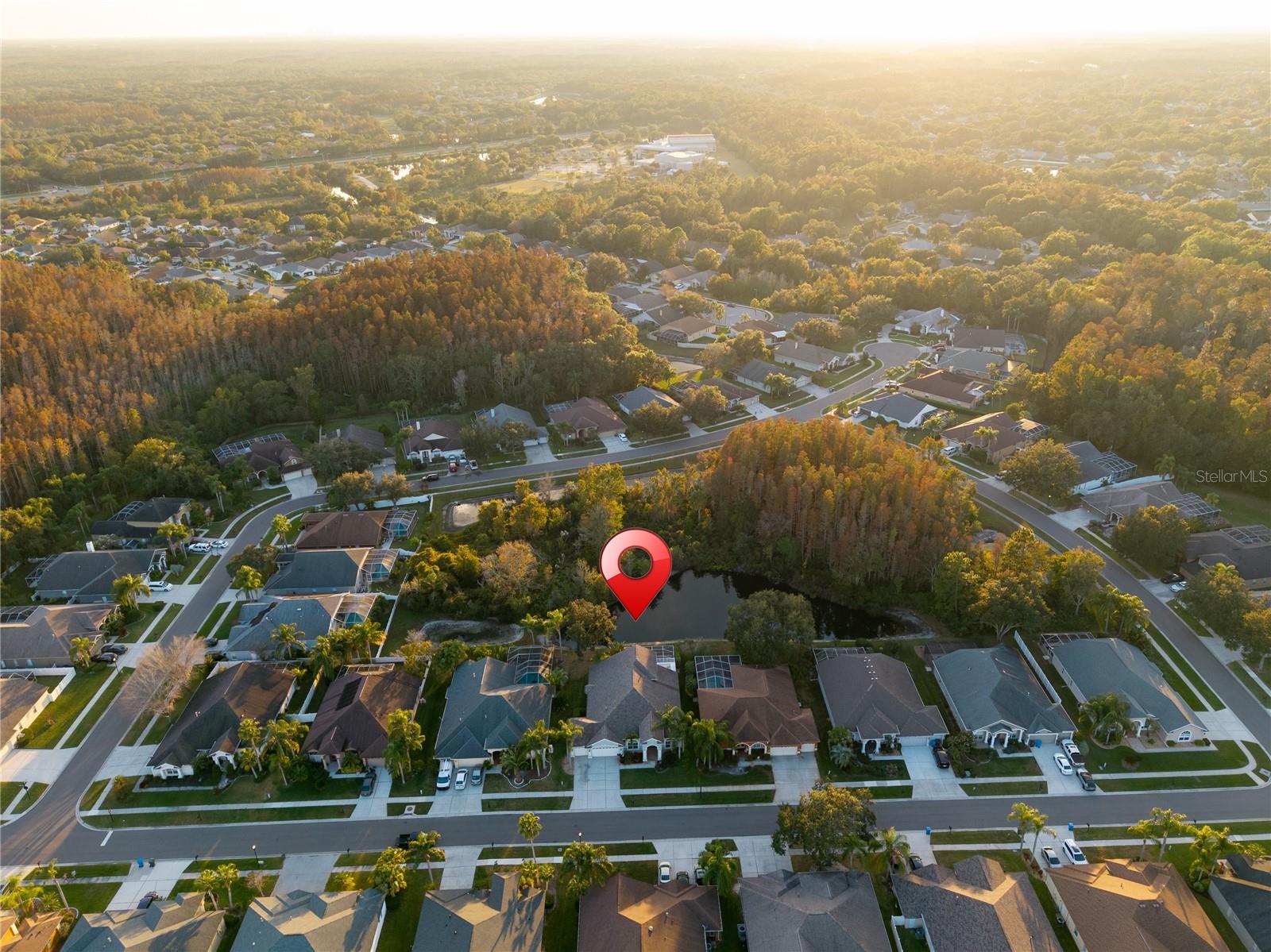 Image 78 of 81 For 9909 Kingshyre Way